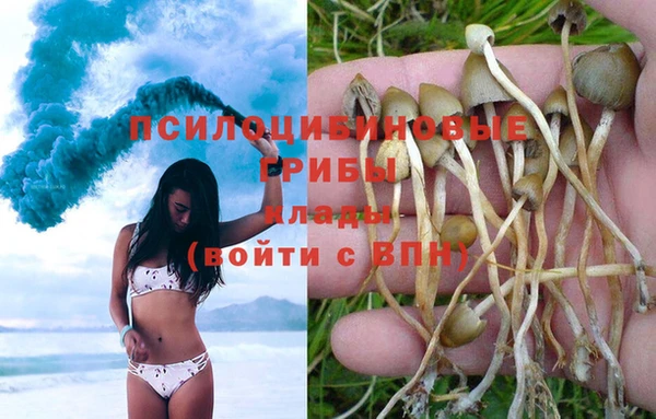 экстази Лагань