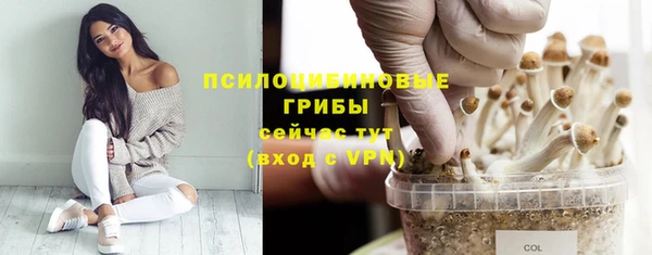 МДМА Ладушкин